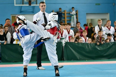 Taekwondo Tournament